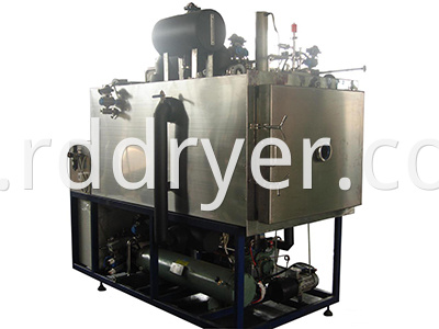 Continuous fruit vacuum freeze dryer